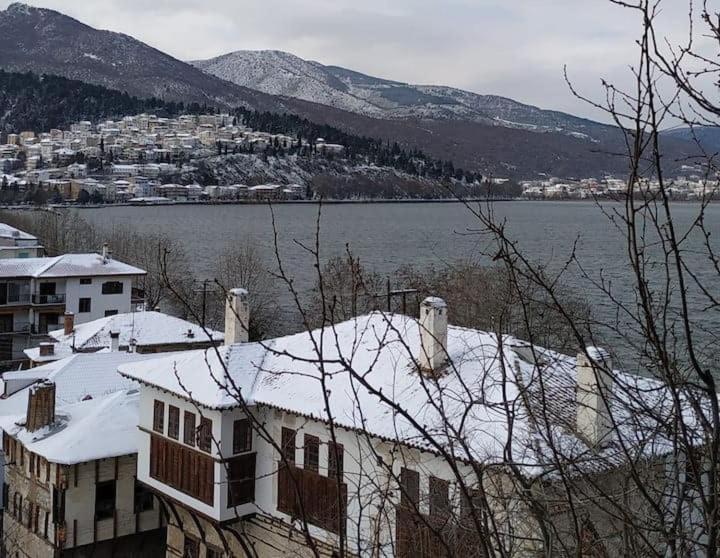 Lakeview Balcony In Apartment Kastoria